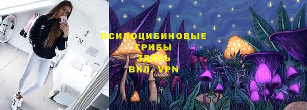 мяу мяу мука Алексеевка