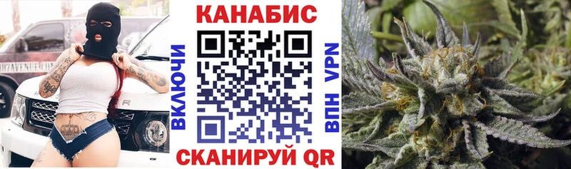цена наркотик  Бабаево  Канабис сатива 